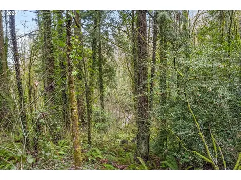 3715 SW 13th Avenue Portland OR 97239