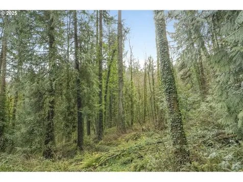 3715 SW 13th Avenue Portland OR 97239