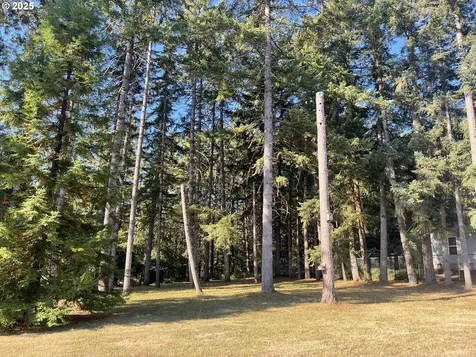 935 SW Hill Drive Willamina OR 97396