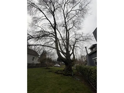 0 N Polk Avenue Portland OR 97203