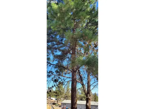 NW Circle Street Prineville OR 97754