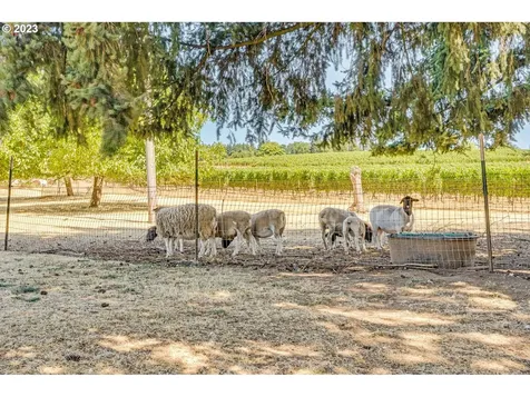 13905 NE Quarry Road Newberg OR 97132