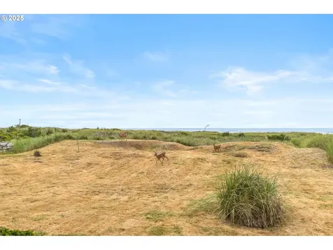 32601 G Street Ocean Park WA 98640