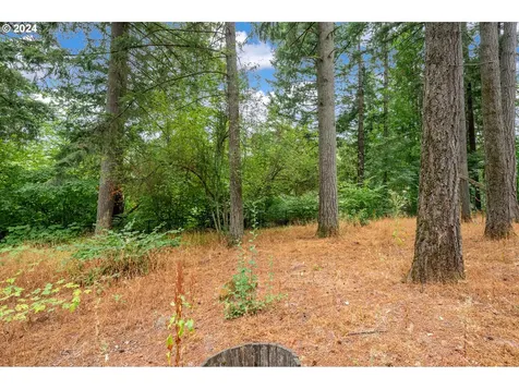 22897 SW Cowlitz Drive Tualatin OR 97062