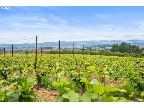 8810 NE Blackburn Road Yamhill OR 97148