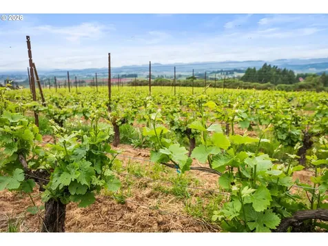 8810 NE Blackburn Road Yamhill OR 97148