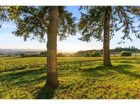 8810 NE Blackburn Road Yamhill OR 97148