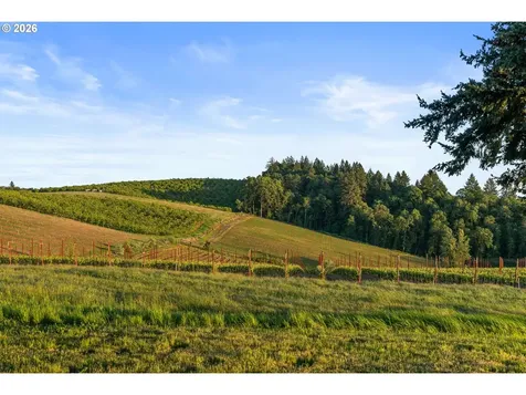 8810 NE Blackburn Road Yamhill OR 97148