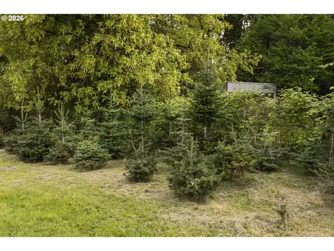 14516 Livesay Road Oregon City OR 97045