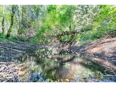 2220 NE Brower Road Corbett OR 97019