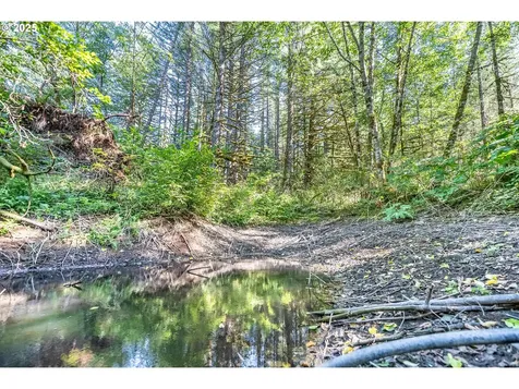 2220 NE Brower Road Corbett OR 97019