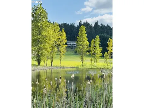 85532 Appletree Drive Eugene OR 97405