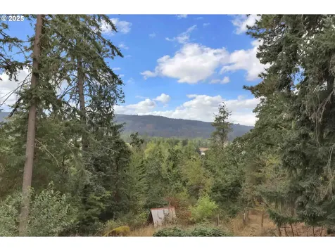 33370 Idyllwild Road Creswell OR 97426