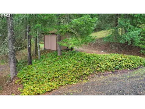 28198 Briggs Hill Road Eugene OR 97405
