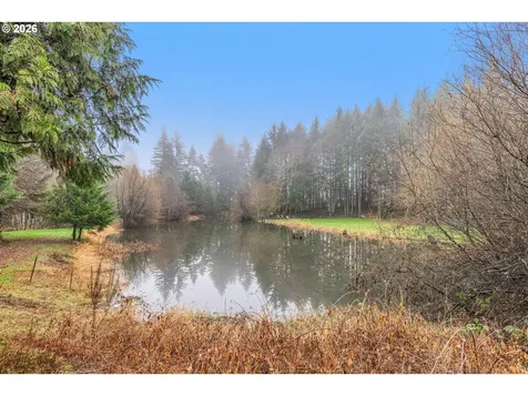 52365 NW Scofield Road Buxton OR 97109