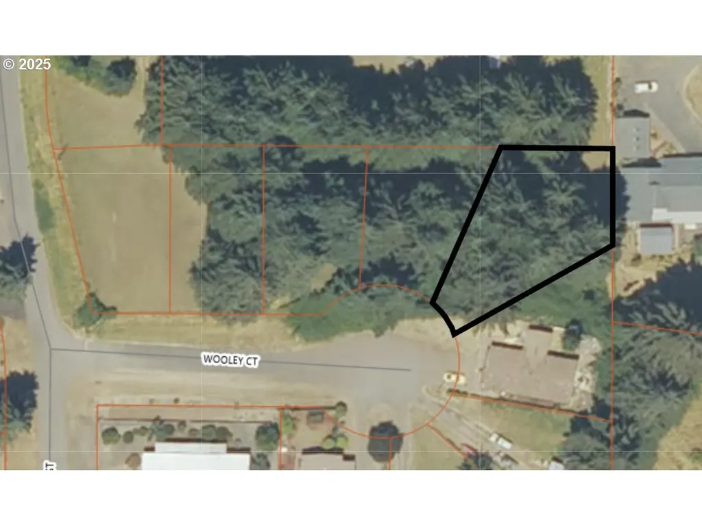 1019 Wooley Court Yoncalla OR 97499