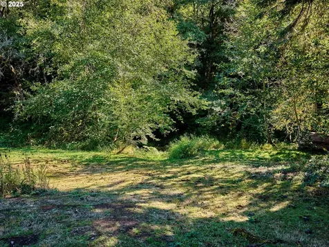 58591 Lone Pine Road Vernonia OR 97064