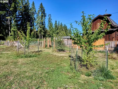 58591 Lone Pine Road Vernonia OR 97064