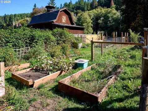58591 Lone Pine Road Vernonia OR 97064