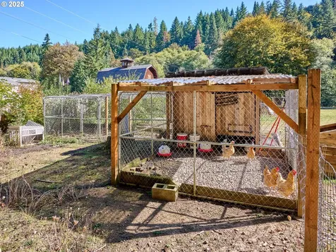 58591 Lone Pine Road Vernonia OR 97064