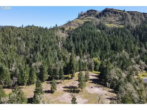 6910 Upper Olalla Road Winston OR 97496