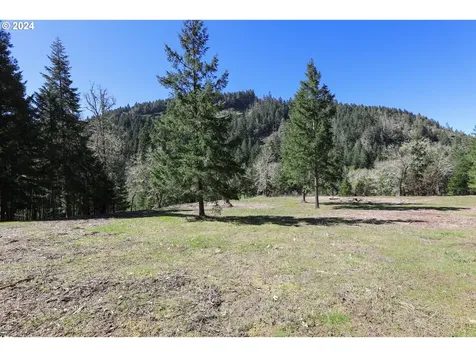 6910 Upper Olalla Road Winston OR 97496