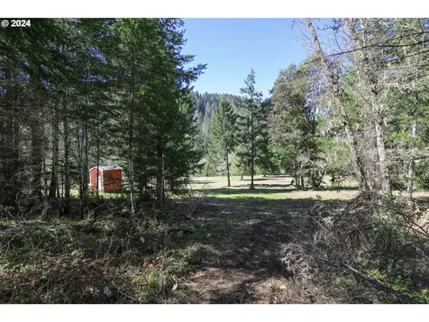 6910 Upper Olalla Road Winston OR 97496