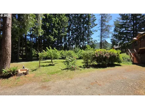 203 Burchard Drive Scottsburg OR 97473
