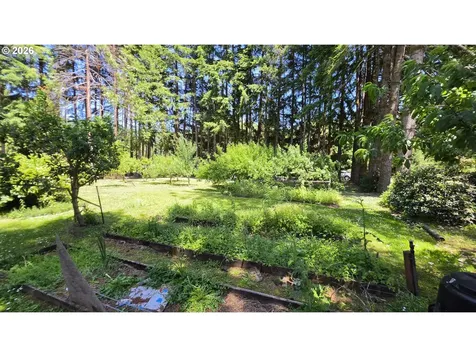 203 Burchard Drive Scottsburg OR 97473