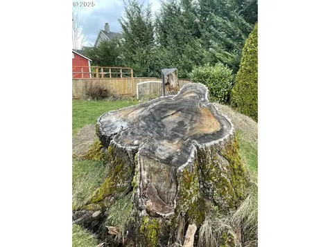 8836 SW Birchwood Road Portland OR 97225