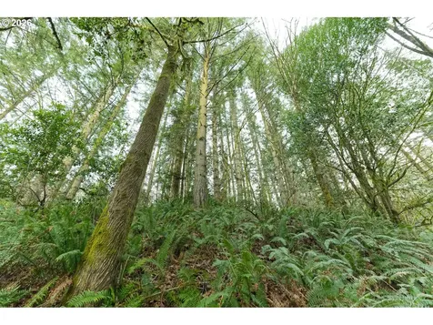 51298 Myrtle Creek Road Myrtle Point OR 97458