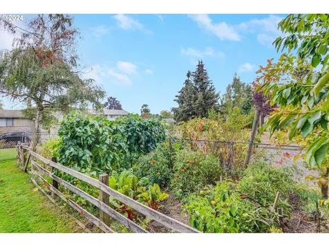 1267 Judy Street Woodburn OR 97071