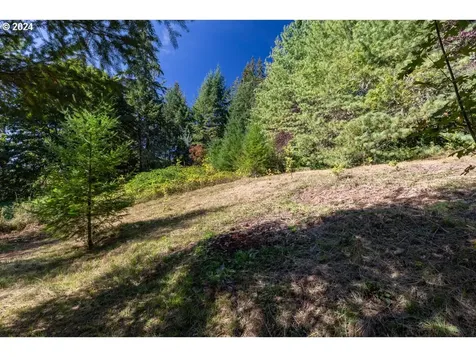 18871 SE Tickle Creek Court Boring OR 97009