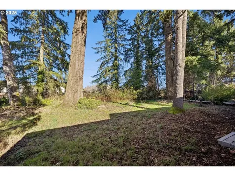 2805 22nd Place Forest Grove OR 97116
