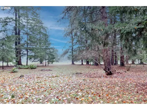 87041 Greenridge Drive Veneta OR 97487