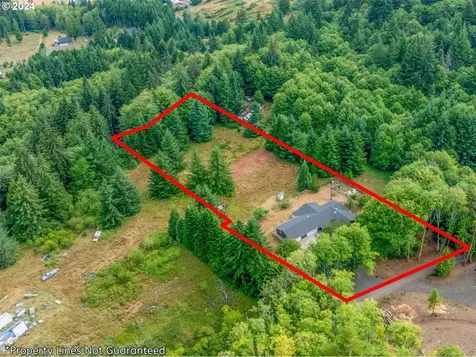 123 Desiree Road Longview WA 98632