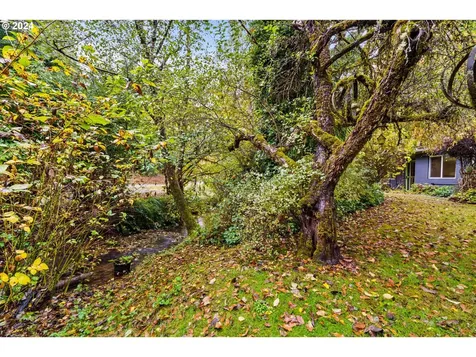 525 Bennett Creek Road Cottage Grove OR 97424
