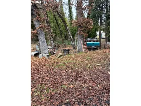 48393 7th Street Oakridge OR 97463