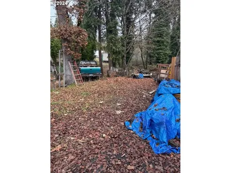 48393 7th Street Oakridge OR 97463