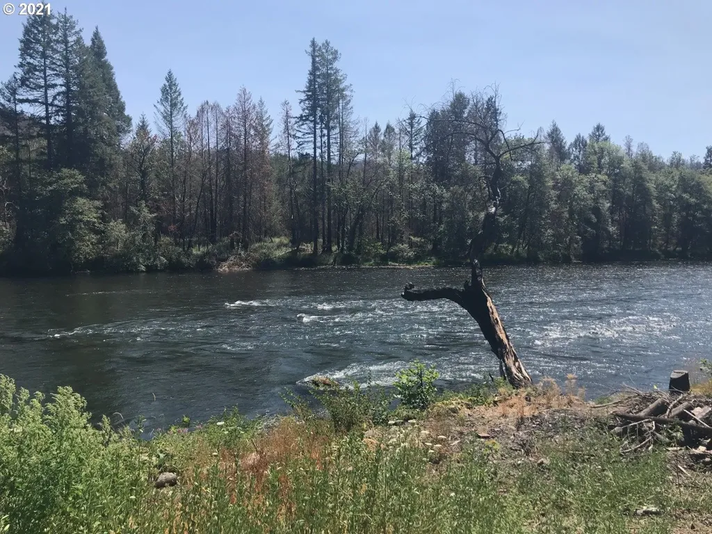 49752 Mckenzie Highway Vida OR 97488