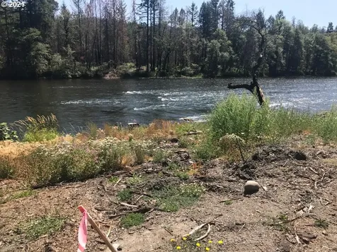 49752 Mckenzie Highway Vida OR 97488
