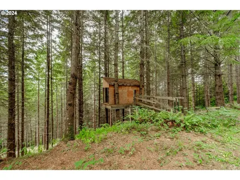 28622 Ridgeway Road Sweet Home OR 97386
