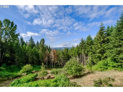 28622 Ridgeway Road Sweet Home OR 97386