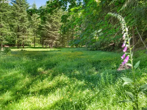 44201 NW Elk Mountain Road Banks OR 97106