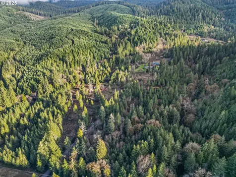 3776 Buck Creek Road Drain OR 97435