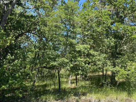 1452 NE Rocky Ridge Drive Roseburg OR 97470