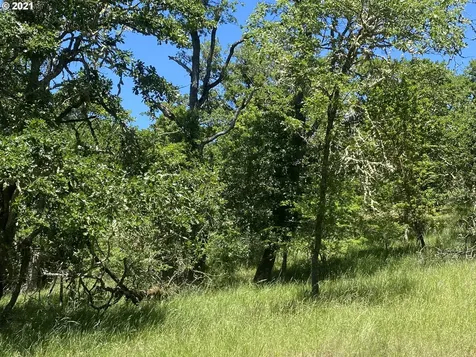 1452 NE Rocky Ridge Drive Roseburg OR 97470
