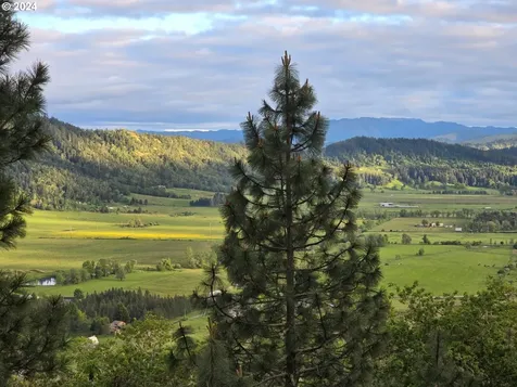 343 Zeigler Court Roseburg OR 97471