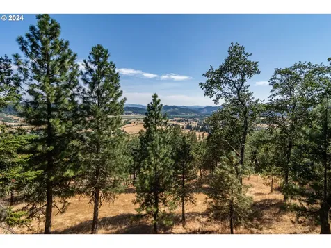 343 Zeigler Court Roseburg OR 97471