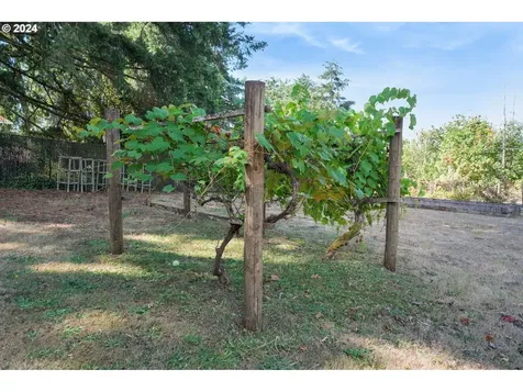 77621 S 6th Street Cottage Grove OR 97424